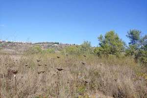 Rural/Agricultural land for sale in Benissa, Alicante. 