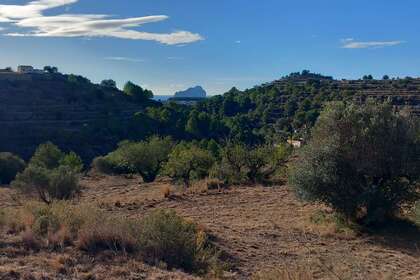 Rural/Agricultural land for sale in Benissa, Alicante. 