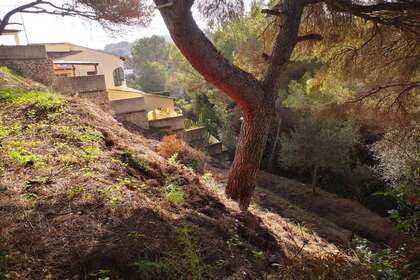 Plot for sale in Benissa, Alicante. 