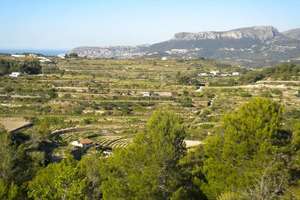 Rural/Agricultural land for sale in Benissa, Alicante. 