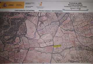 Rural/Agricultural land for sale in Bailén, Jaén. 