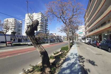 Commercial premise in Torre del mar, Málaga. 