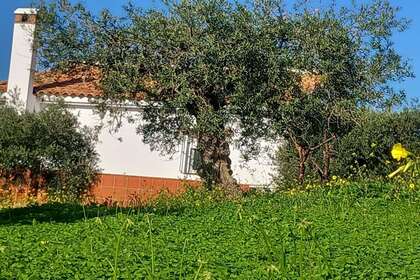 Ranch for sale in Alora, Málaga. 