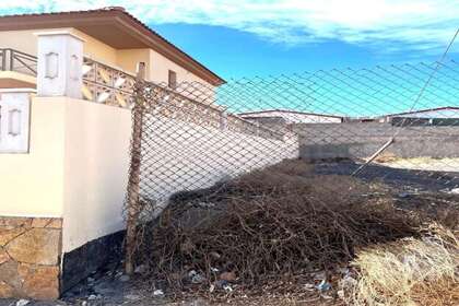 照片