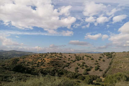 Landdistrikter / landbrugsjord til salg i Casares, Málaga. 
