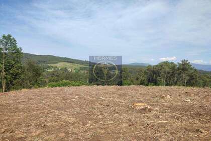 Rural/Agricultural land for sale in Tui, Pontevedra. 