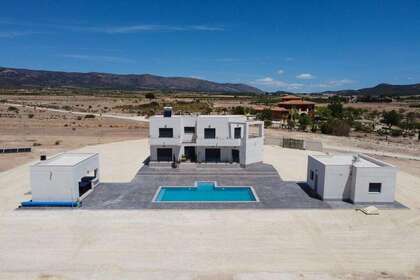 House for sale in Pinoso, Alicante. 