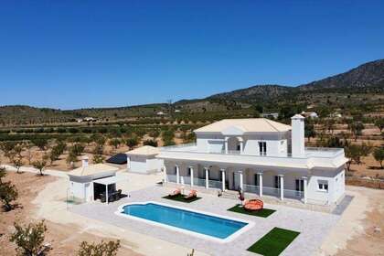 House for sale in Pinoso, Alicante. 