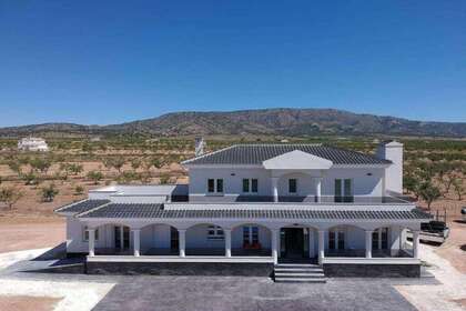 House for sale in Pinoso, Alicante. 