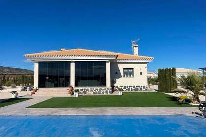 House for sale in Pinoso, Alicante. 