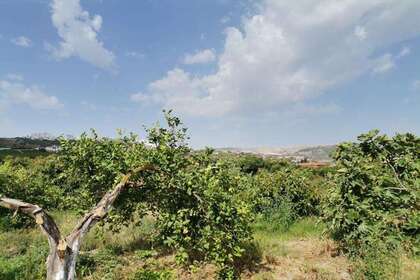 Plot for sale in Casares, Málaga. 