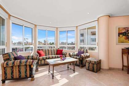 Flat for sale in Torrevieja, Alicante. 