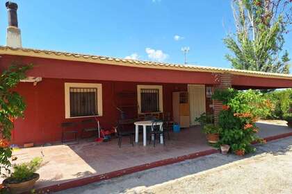 House for sale in Yecla, Murcia. 