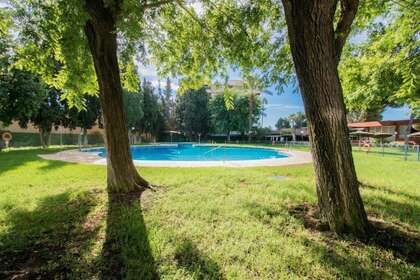 Flat for sale in Sevilla. 