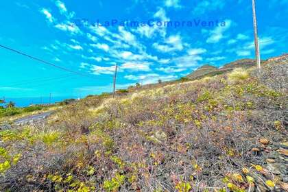 Landdistrikter / landbrugsjord til salg i Villa de Mazo, Santa Cruz de Tenerife, La Palma. 