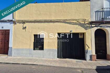 Handelspanden verkoop in Montijo, Badajoz. 