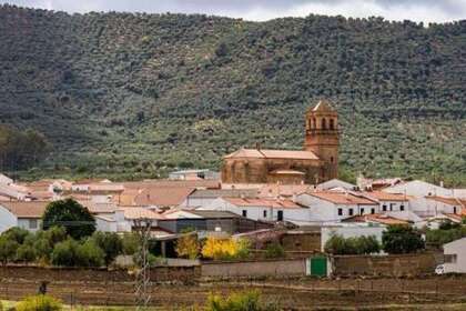 Casa venta en Casas de Reina, Badajoz. 