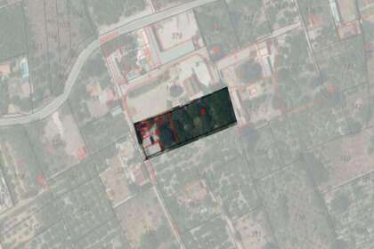 Landdistrikter / landbrugsjord til salg i Murla, Alicante. 