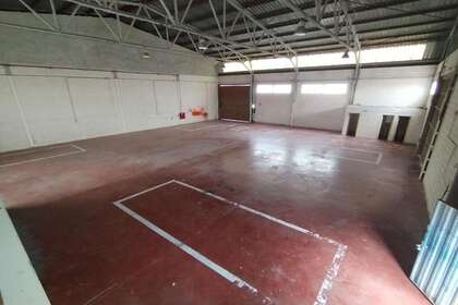 Warehouse in Alicante/Alacant. 