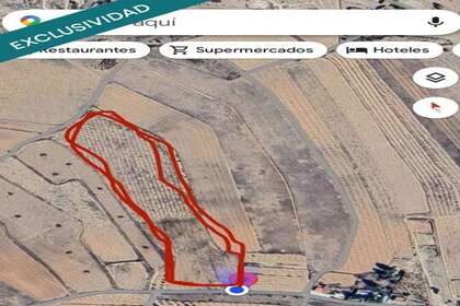 Rural/Agricultural land for sale in Monóvar/Monòver, Alicante. 