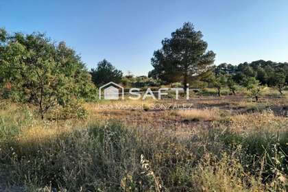 Terreno rústico/agrícola venta en Cehegín, Murcia. 