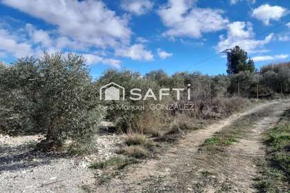 Terreno rústico/agrícola venta en Cehegín, Murcia. 