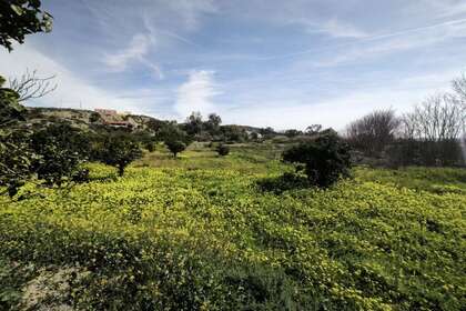Rural/Agricultural land for sale in Gádor, Almería. 