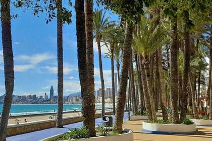 Premissa comercial venda em Benidorm, Alicante. 