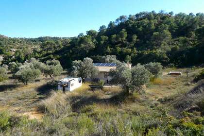 Rural/Agricultural land for sale in Cella, Teruel. 
