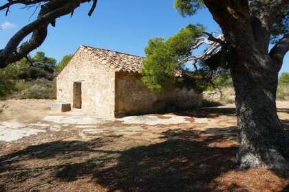 Rural/Agricultural land for sale in Cella, Teruel. 