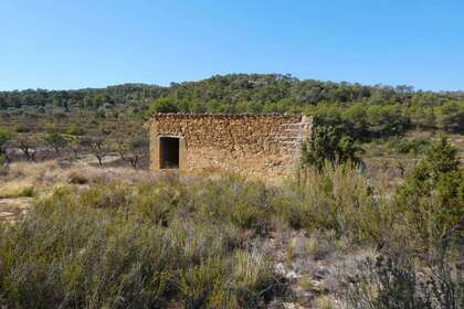 Rural/Agricultural land for sale in Cella, Teruel. 