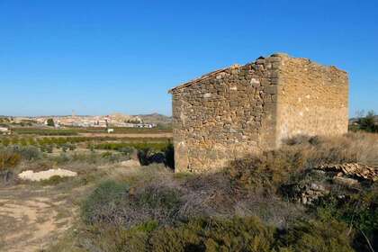 Rural/Agricultural land for sale in Cella, Teruel. 