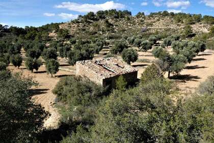 Rural/Agricultural land for sale in Cella, Teruel. 