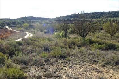 Rural/Agricultural land for sale in Cella, Teruel. 