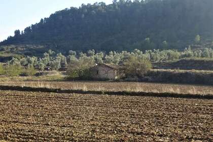 Rural/Agricultural land for sale in Cella, Teruel. 