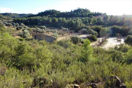Rural/Agricultural land for sale in Cella, Teruel. 