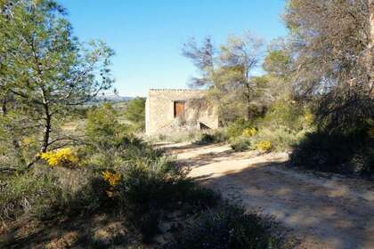 Rural/Agricultural land for sale in Batea, Tarragona. 