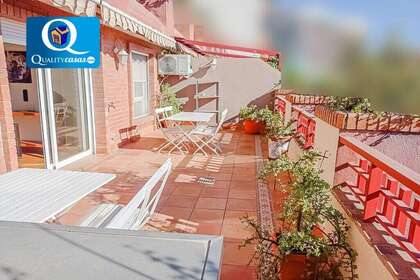 耳房 进入 Alicante/Alacant. 