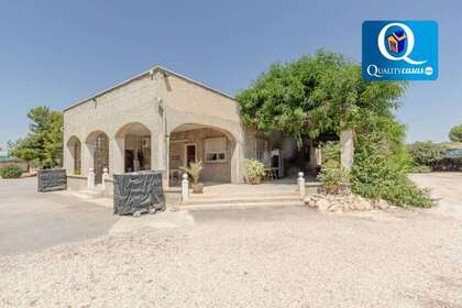 House for sale in Crevillent, Alicante. 