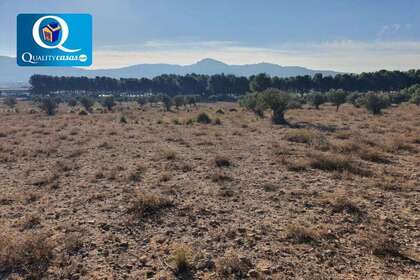 Solar industrial venta en Elda, Alicante. 