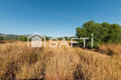 Terreno rústico/agrícola venta en Oropesa del Mar/Orpesa, Castellón. 
