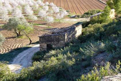 农业用地 出售 进入 Batea, Tarragona. 