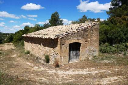Terres agricoles vendre en Calaceite, Teruel. 