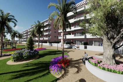 Penthouse for sale in Guardamar del Segura, Alicante. 