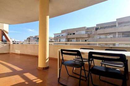 平 进入 Malahá (La), Granada. 