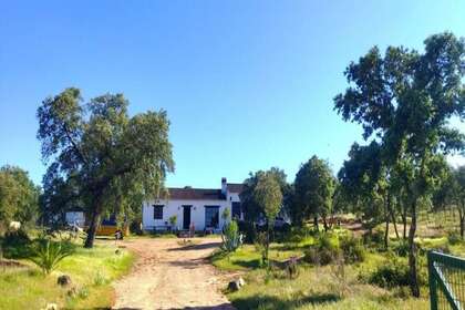 Casa de campo venta en El Ronquillo, La Vía de la Plata, Sevilla. 