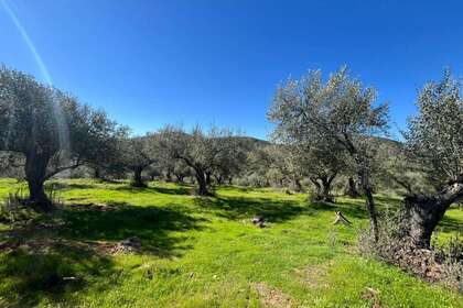 Terreno rústico/agrícola venta en Zufre, Huelva. 