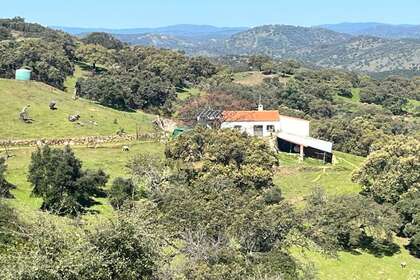 Terreno rústico/agrícola venta en Zufre, Huelva. 