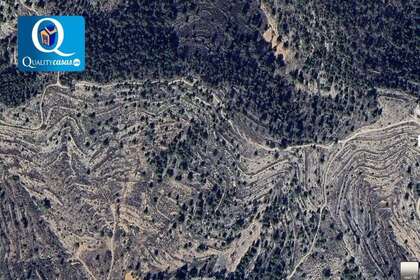 Rural/Agricultural land for sale in Romana (la), Alicante. 