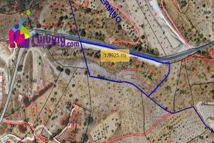 Parcela/Finca venta en Alcudia de Monteagud, Almería. 